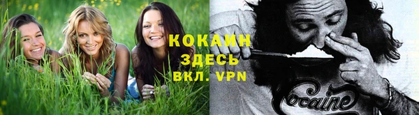 apvp Вязники