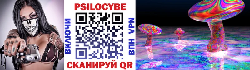 Купить где  Урус-Мартан  Псилоцибиновые грибы прущие грибы 